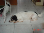 DSC00056.JPG