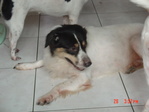 DSC00057.JPG