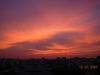 DSCN6102~0.JPG