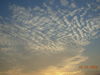 DSCN6443.JPG