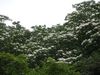 IMGP2531.JPG