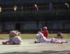 resting lions.jpg