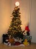 IMG_0845a.jpg