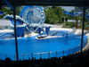 DSCF0009.JPG