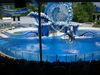 DSCF0010.JPG
