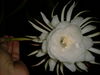 DSCF0011.JPG