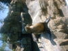 DSCF0014.JPG
