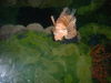 DSCF0020.JPG