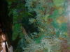 DSCF0023.JPG