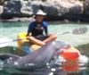 Dolphin 100_0348a.jpg