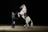 performing horse 3 jpg.jpg