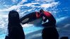 shamu 100_0335.jpg