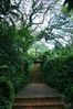 bridge0704.jpg