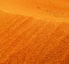 sand1.JPG
