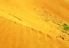 sand2.JPG