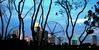 singapore flyer1004.jpg