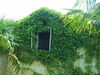 PICT0463.JPG