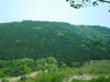 PICT0465.JPG