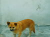 PICT0468.JPG