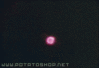 86.gif