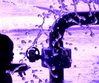 water4.JPG