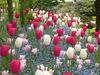 tn_DSCN5863.JPG