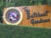 tn_DSCN5864.JPG