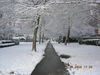 DSCN1768.JPG