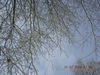 DSCN1770.JPG