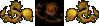 31.gif