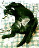 IMG0285A.jpg