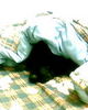 IMG0286A.jpg