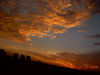 DSCN6454.JPG