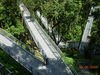 DSCN7012.JPG