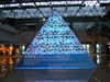 PICT0021.JPG