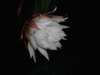0616.gif