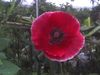 12-05-10_0832.jpg