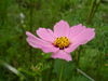 IMGP1120.JPG