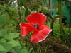 IMGP1122.JPG
