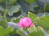 IMGP1214.JPG
